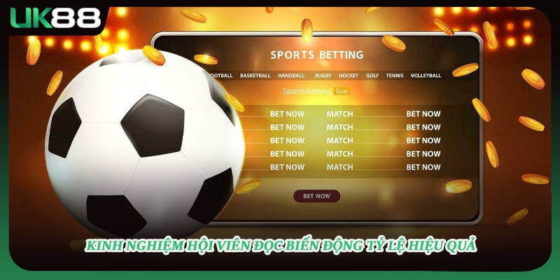 Kinh nghiệm hội viên đọc biến động tỷ lệ hiệu quả